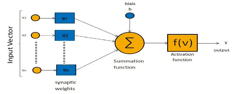 Perceptron, single neuron schema