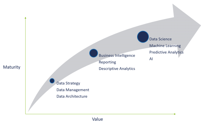 Data Maturity Curve