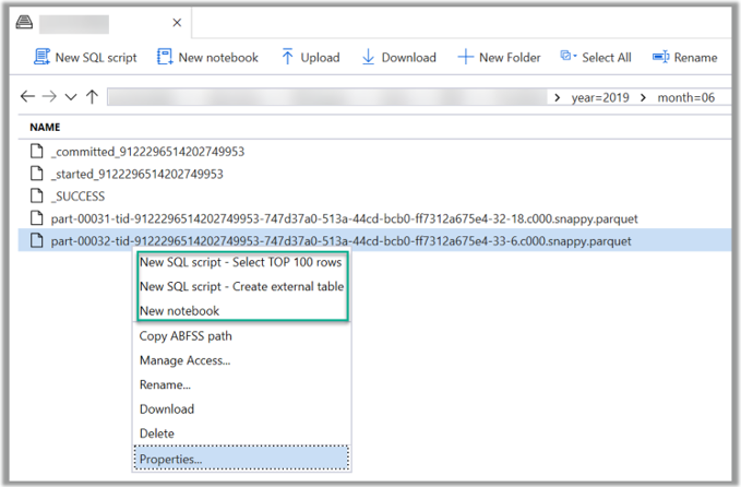 Explore Lake data via SQL Pool (On-demand Pool or via Provisioned SQL Pool) using T-SQL or via a Spark Pool using a variety of languages including Python, Scala and .NET.