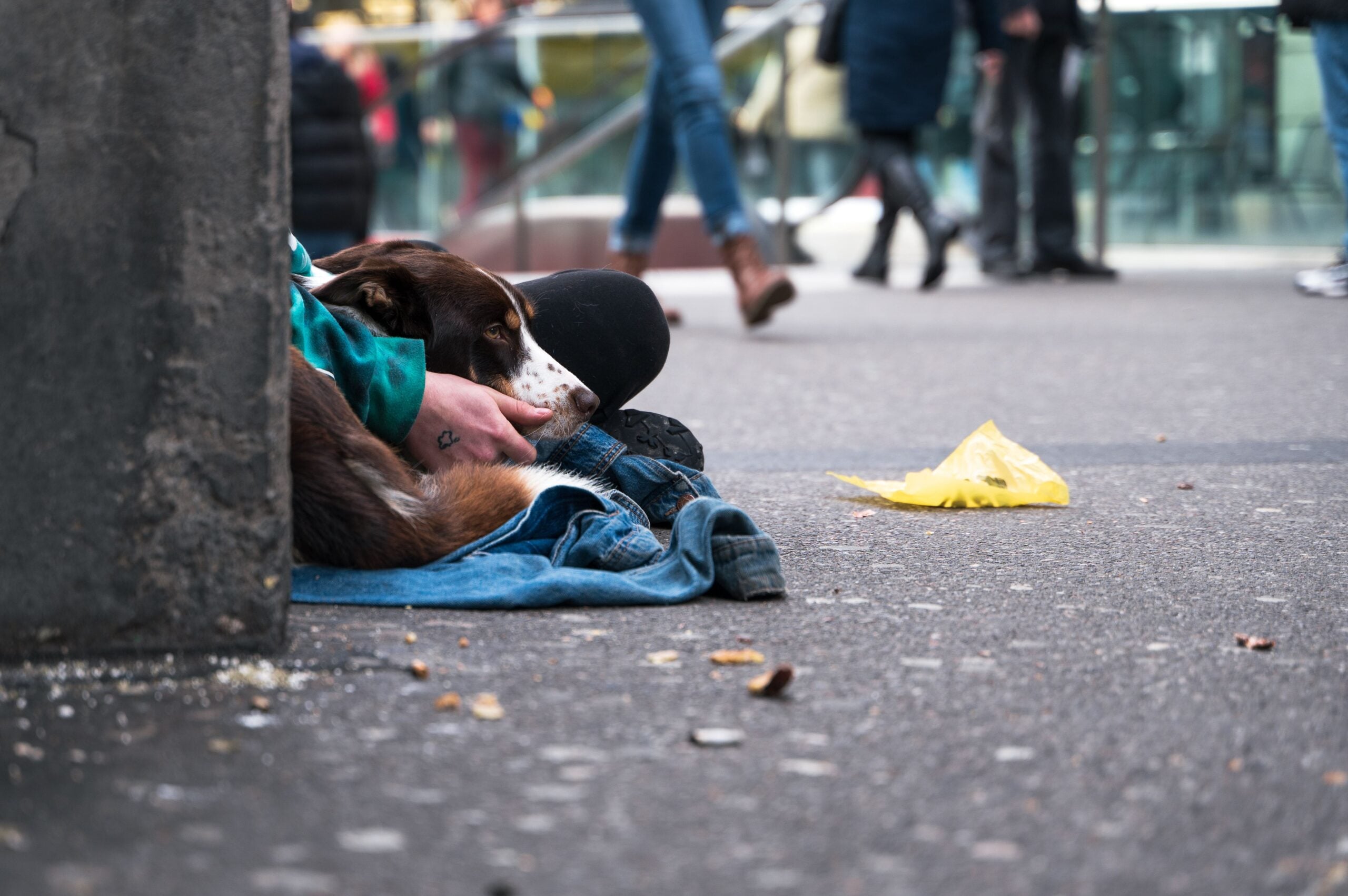 People receiving support in temporary accommodation