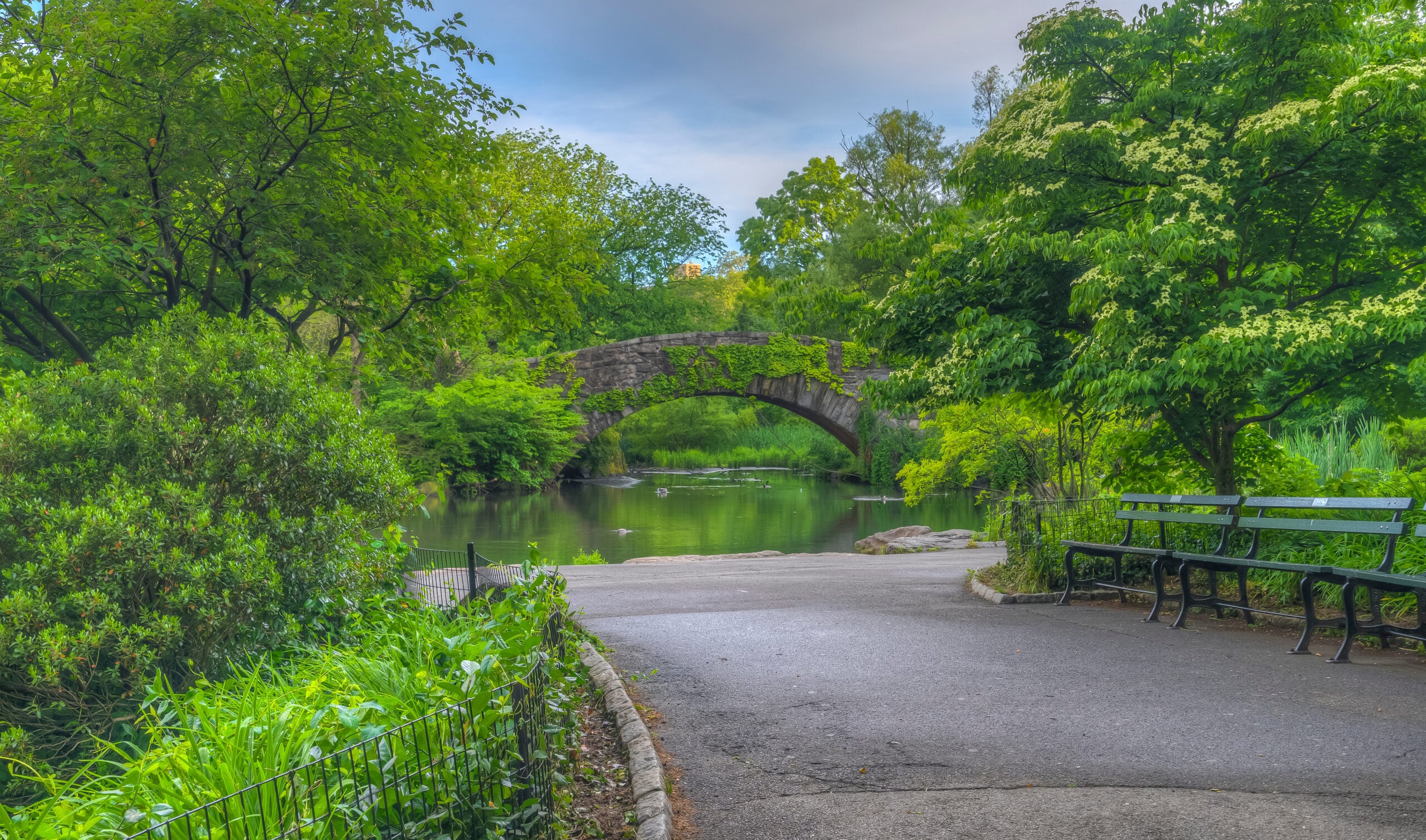 Public park with mature trees, footpath, benches, pond and stone bridge